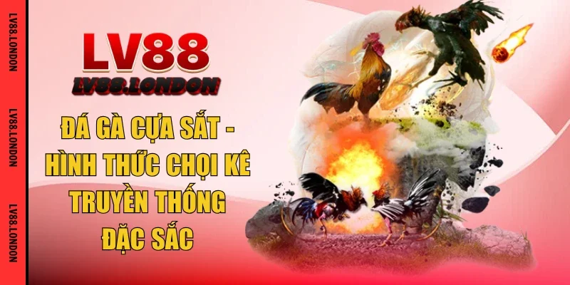 đá gà cựa sắt