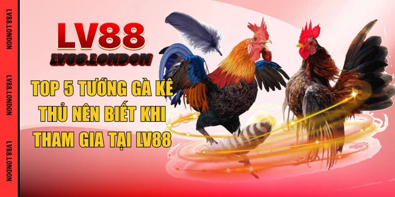 Top 5 tướng gà